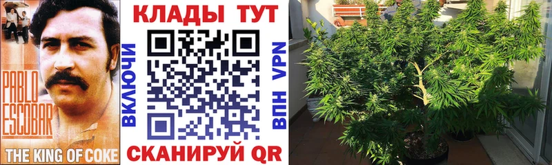 ТГК Кольчугино
