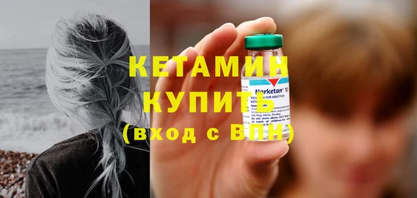 крисы Ельня