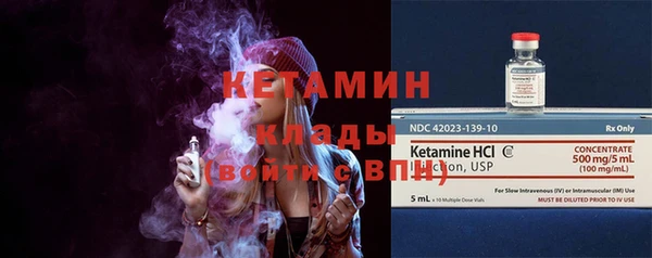 крисы Ельня