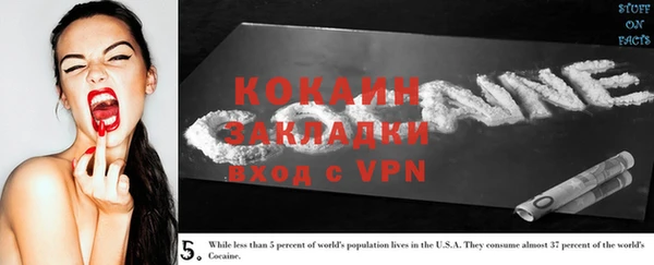крисы Ельня