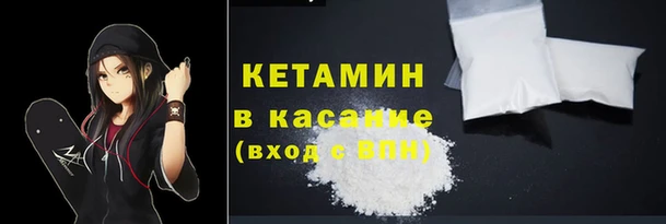 крисы Ельня