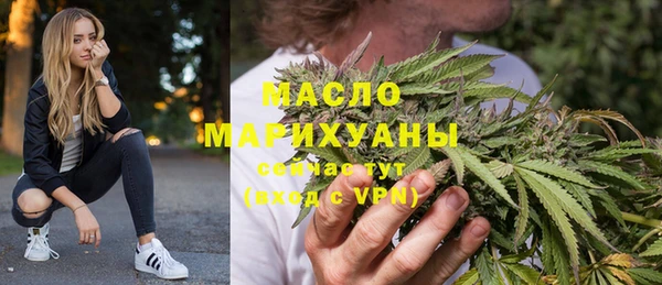 крисы Ельня