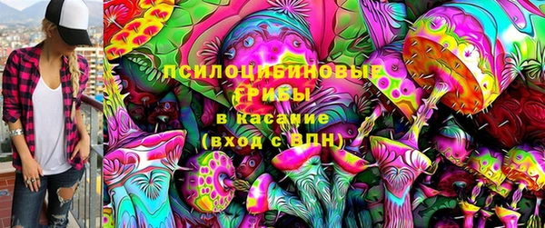 крисы Ельня