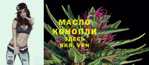 крисы Ельня