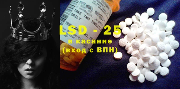 крисы Ельня