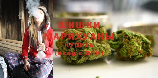 крисы Ельня